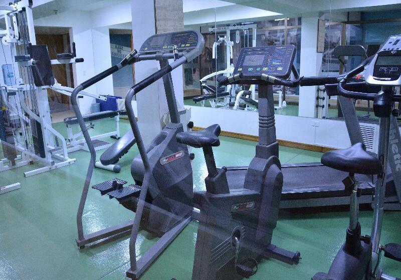 فندق Director Vitacura