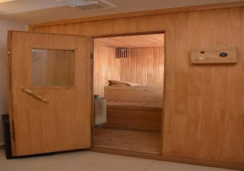 酒店 Director Vitacura