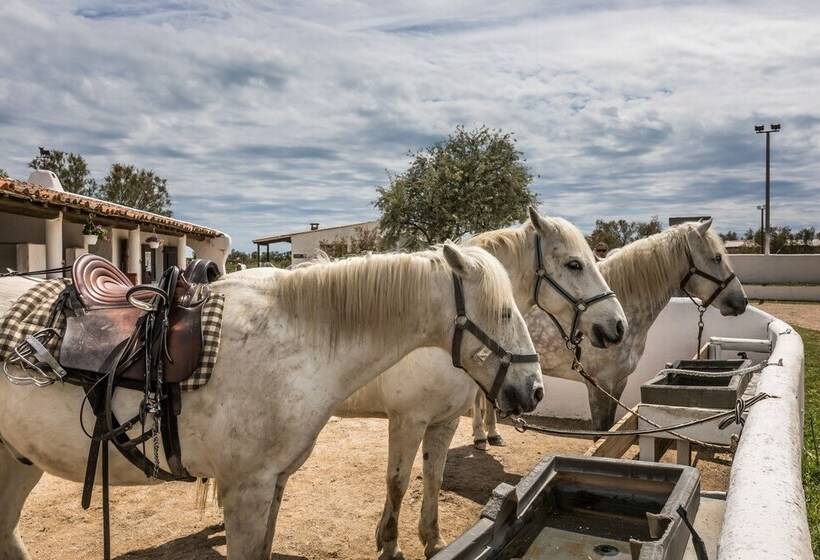 酒店 Les Bains Gardians