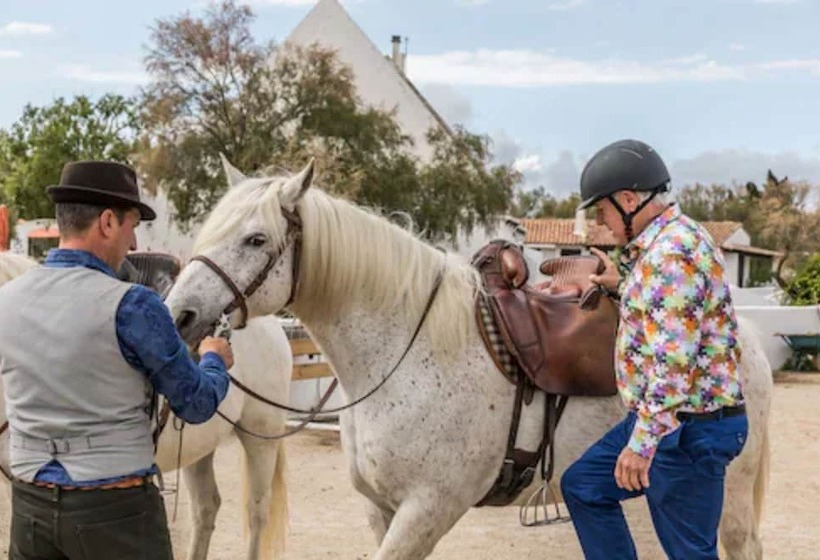 酒店 Les Bains Gardians