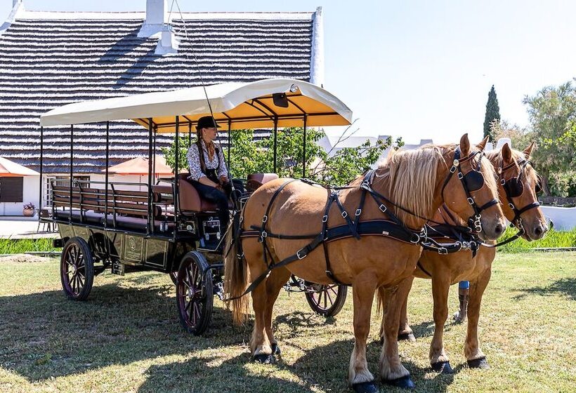 酒店 Les Bains Gardians