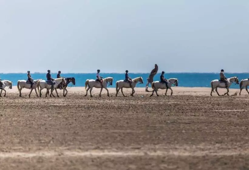Hotell Les Bains Gardians