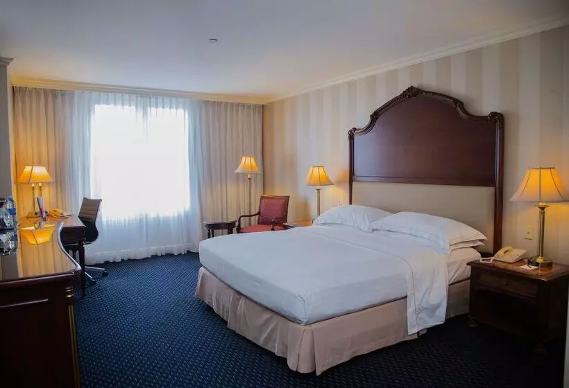 호텔 Barcelo San Salvador