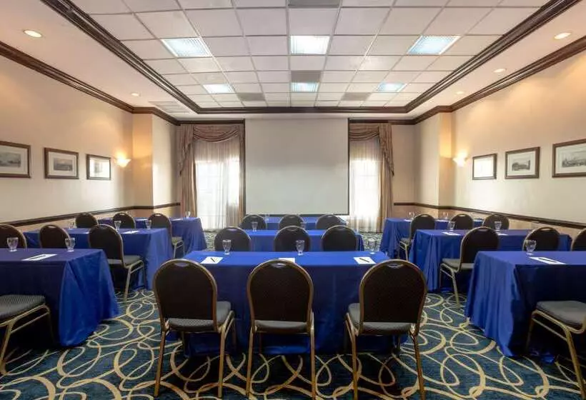 호텔 Barcelo San Salvador