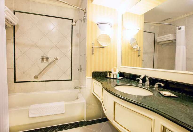 هتل Barcelo San Salvador