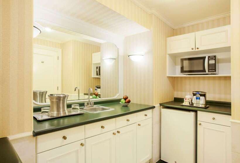 هتل Barcelo San Salvador