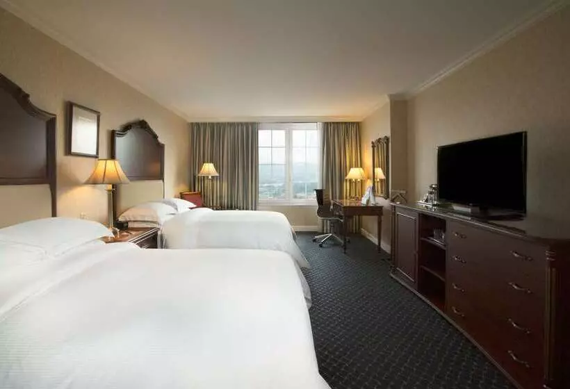 호텔 Barcelo San Salvador