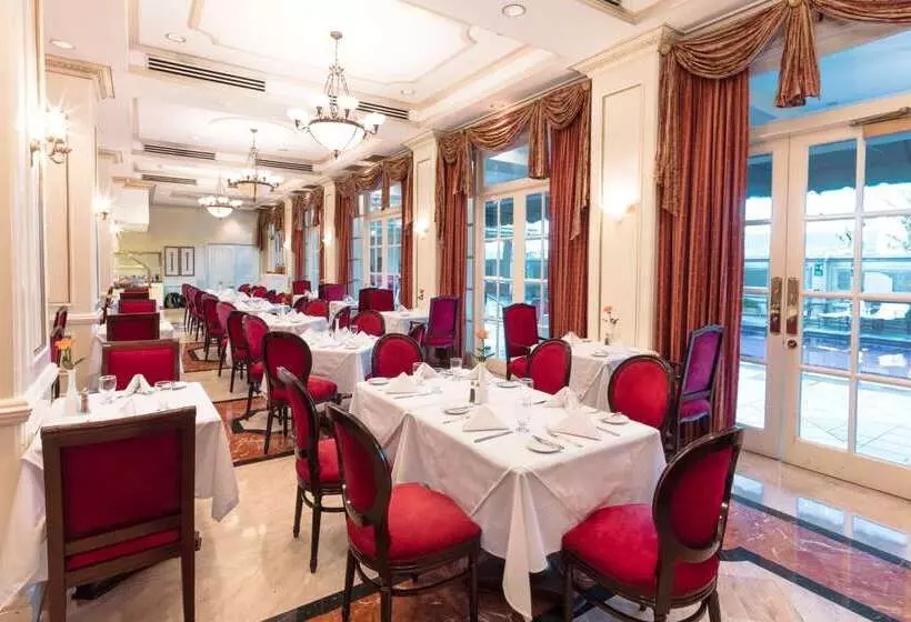 호텔 Barcelo San Salvador