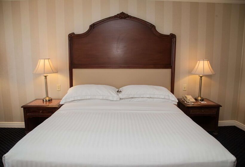 هتل Barcelo San Salvador