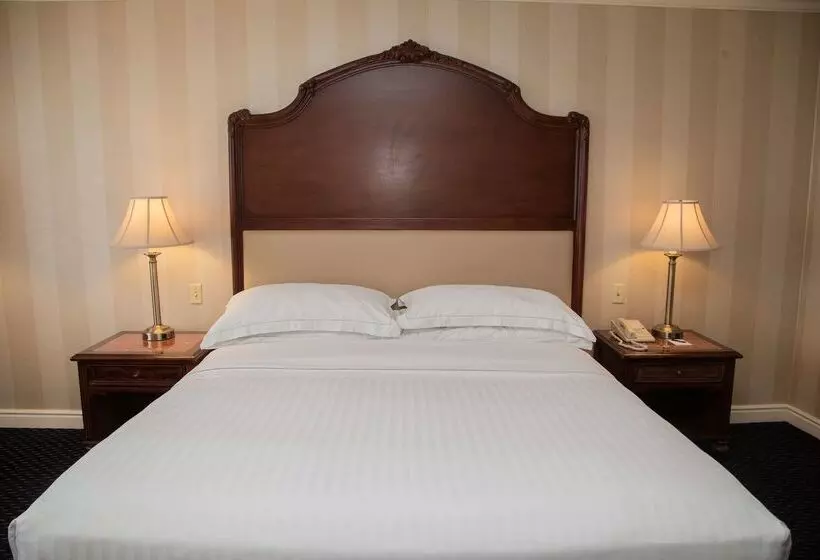 호텔 Barcelo San Salvador