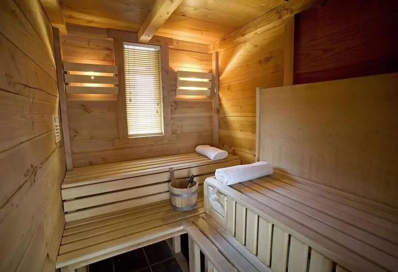 호텔 Best Western Chalet Les Saytels