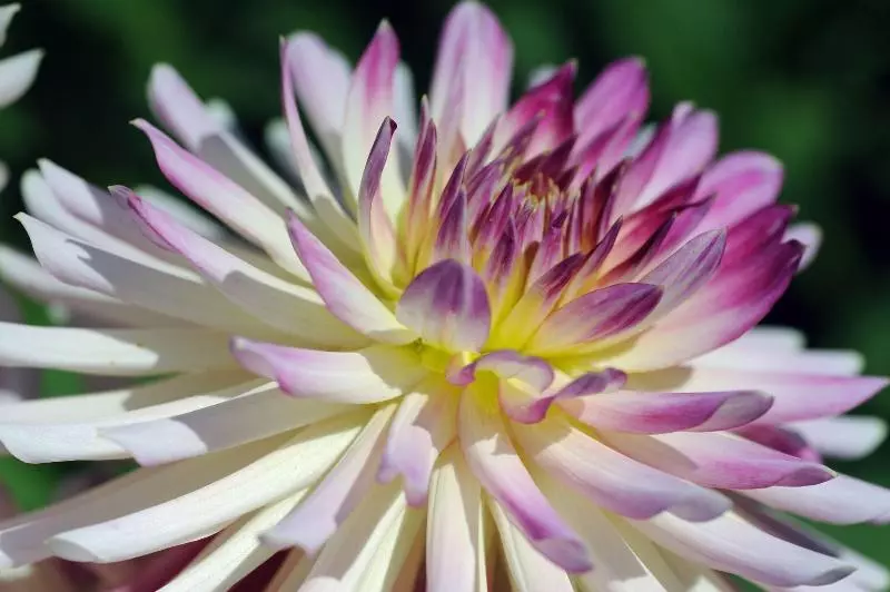 Отель Chateau De La Bourdaisiere