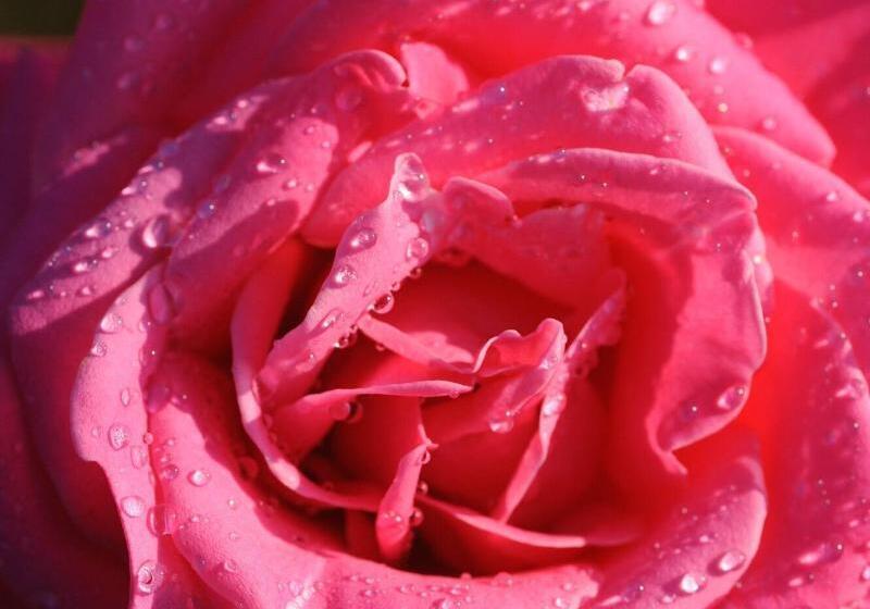 فندق Chateau De La Bourdaisiere