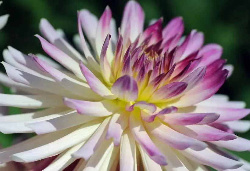 Отель Chateau De La Bourdaisiere