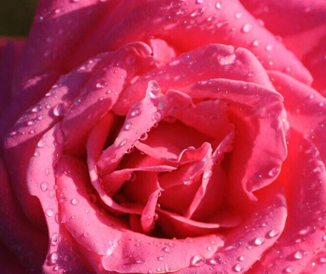 فندق Chateau De La Bourdaisiere