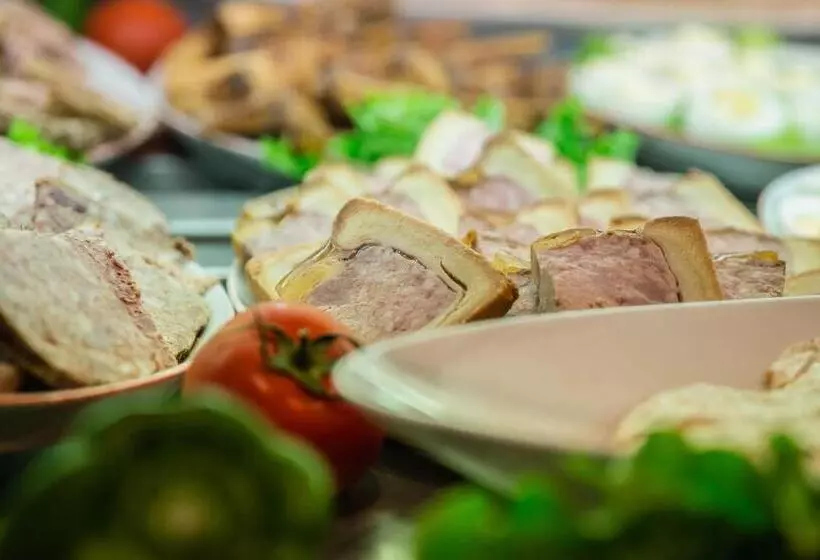 Logis Hotel Lons Le Saunier   Restaurant Le Grill