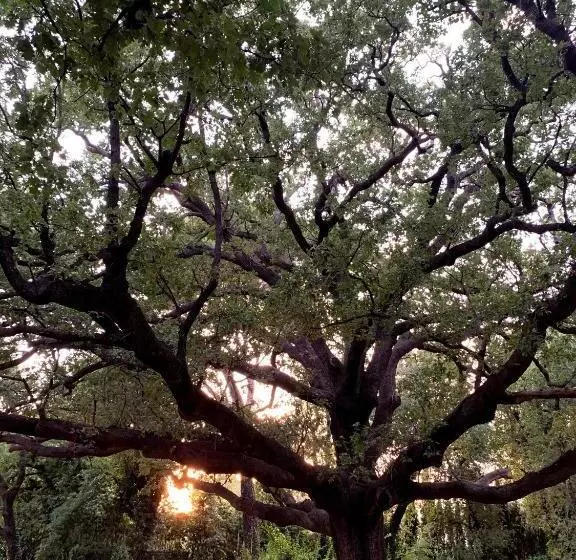 酒店 Le Manoir De L étang