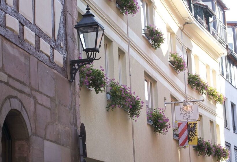 هتل Agneshof Nurnberg
