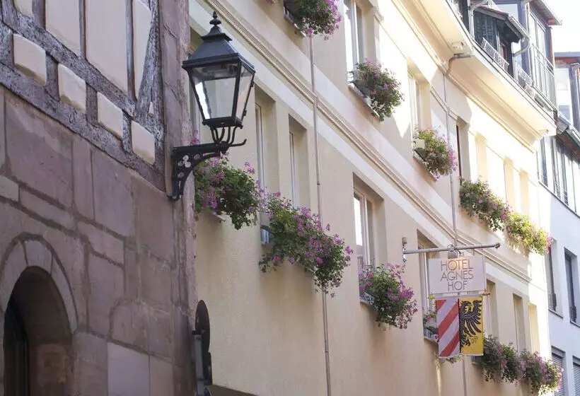 호텔 Agneshof Nurnberg