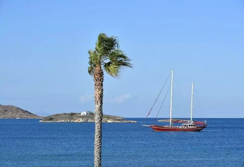 酒店 Astir Of Paros