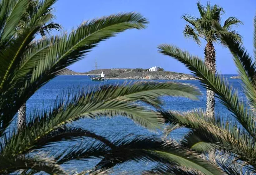 酒店 Astir Of Paros