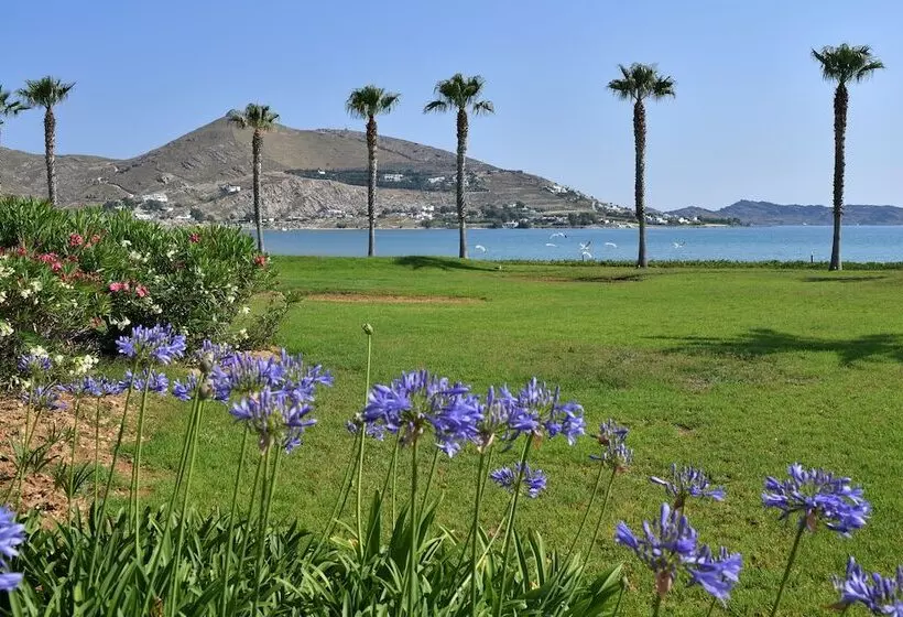 酒店 Astir Of Paros