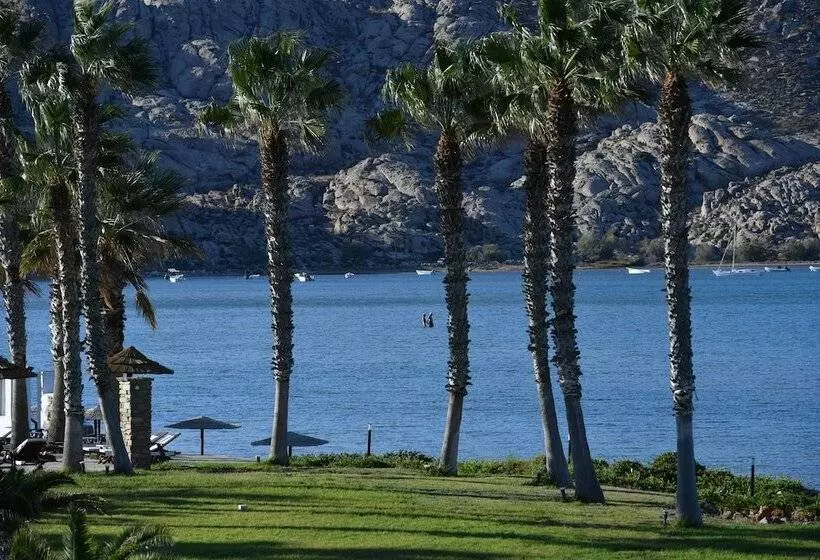 酒店 Astir Of Paros