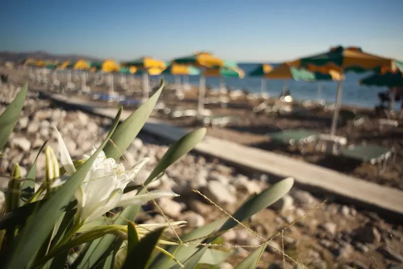 Hotelli Irene Palace Beach Resort