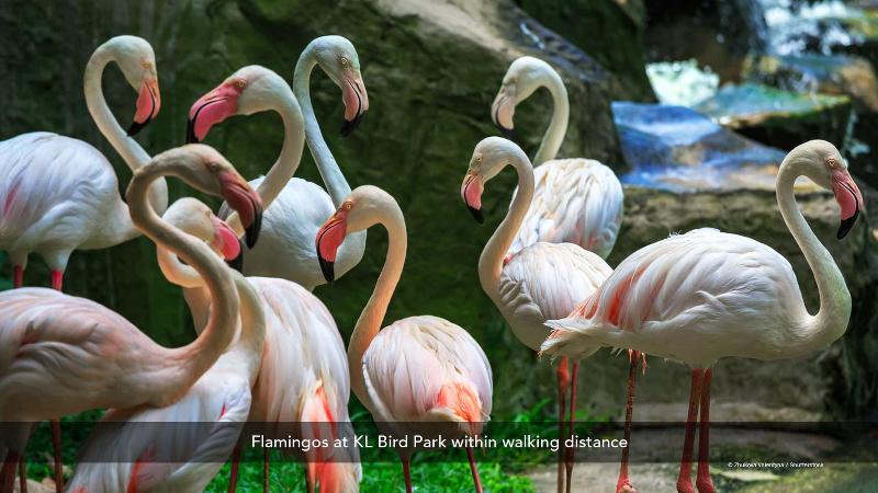 Starpoints Hotel Kuala Lumpur By Zen Rooms