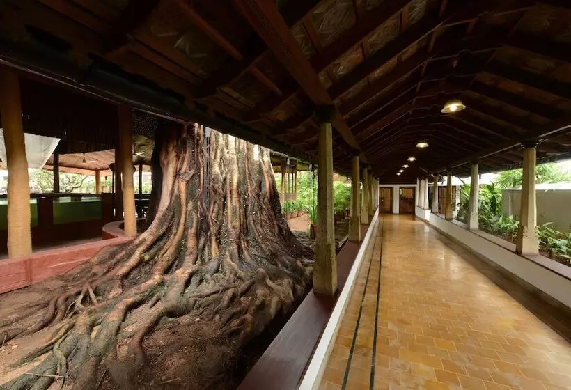 Casino Hotel   Cgh Earth, Cochin