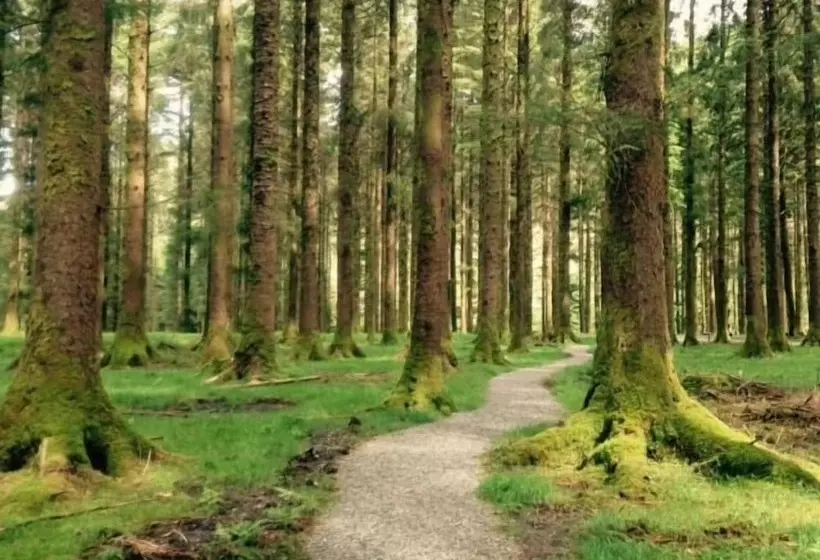 호텔 Gougane Barra