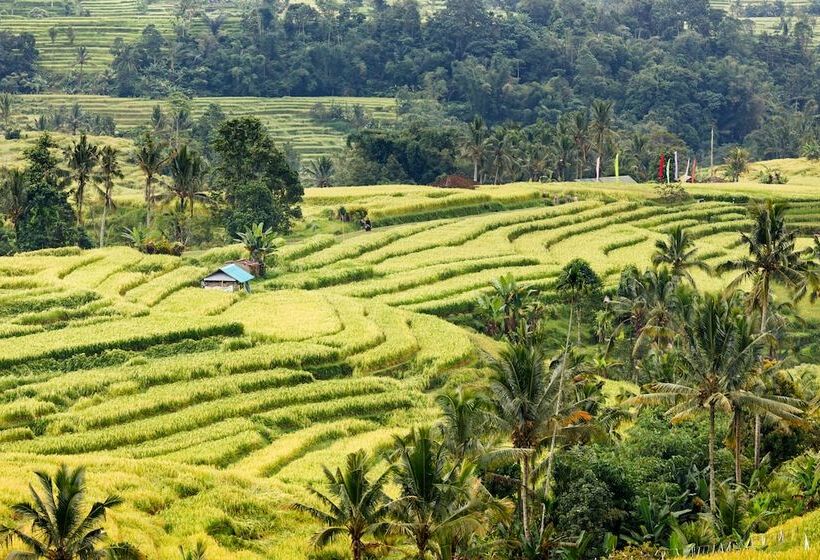 ホテル The Seminyak Beach Resort & Spa