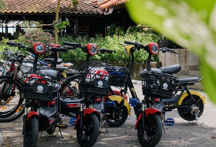 Отель Grand Elty Krakatoa