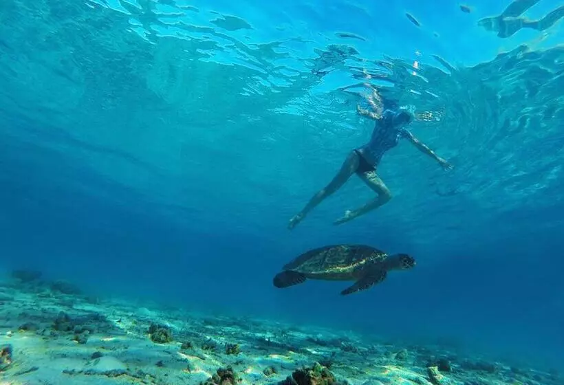 مسافرخانه Coco Villa