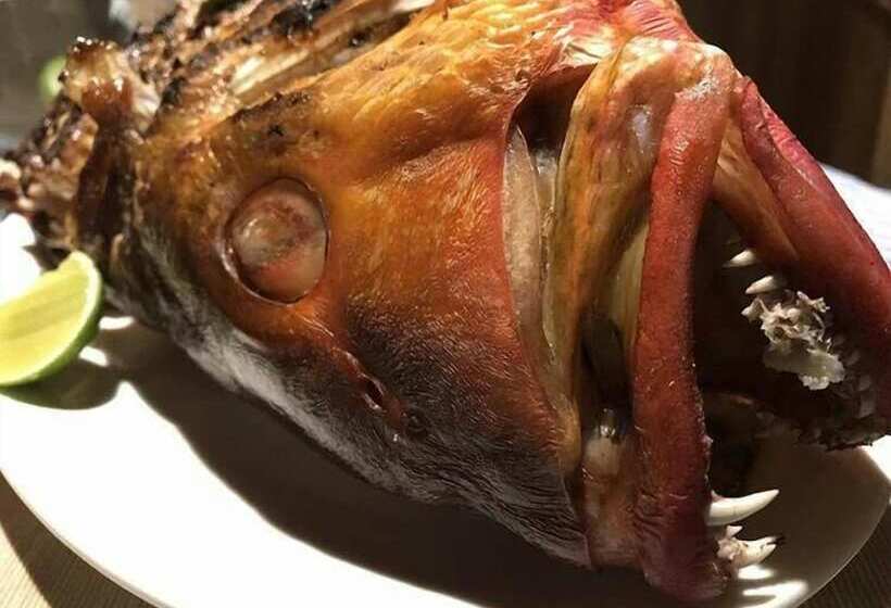 مسافرخانه Coco Villa