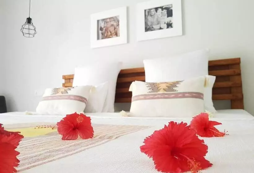 مسافرخانه Coco Villa