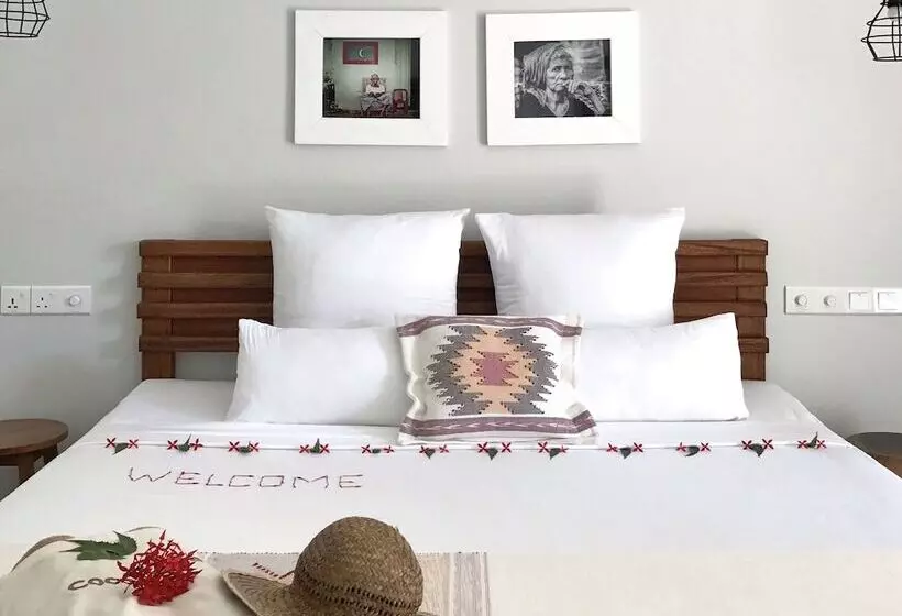 مسافرخانه Coco Villa