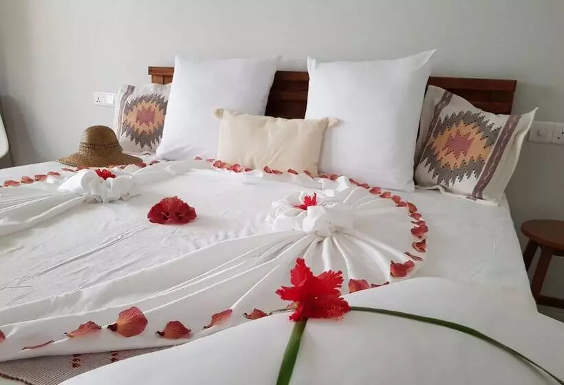 مسافرخانه Coco Villa