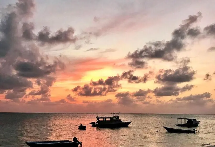 مسافرخانه Coco Villa