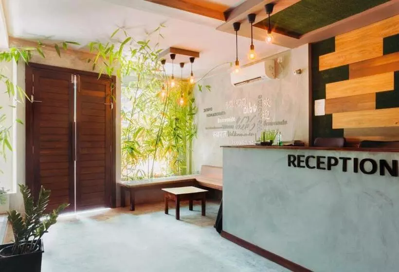 پانسیون White Coral Rasdhoo