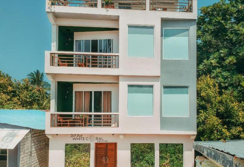 پانسیون White Coral Rasdhoo