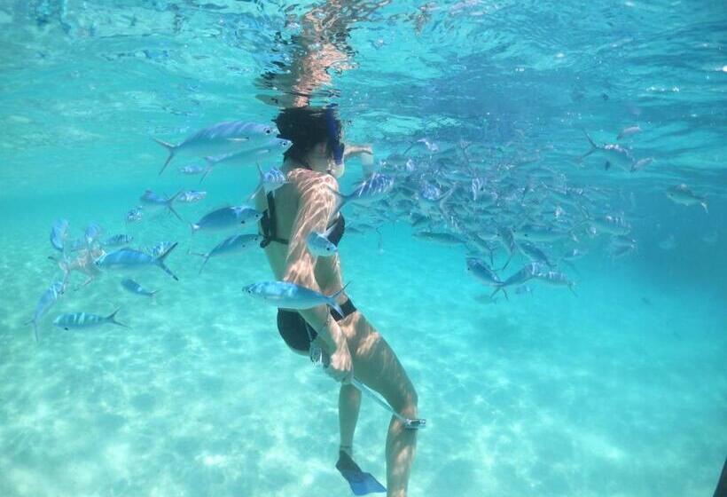 پانسیون White Coral Rasdhoo