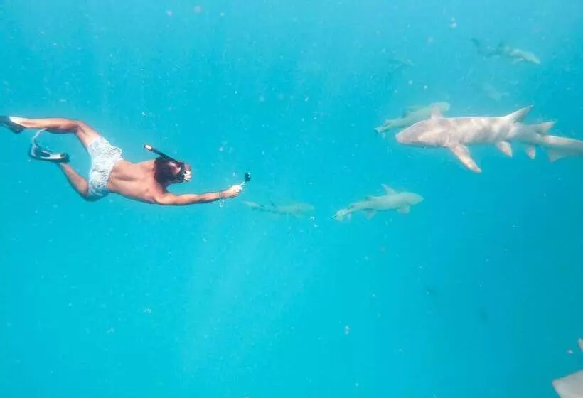 پانسیون White Coral Rasdhoo