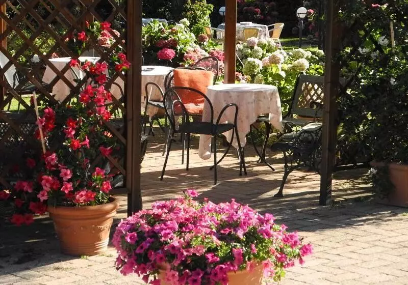 Отель Le Renaie