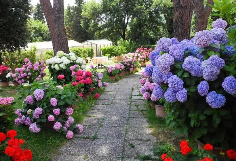 Отель Le Renaie