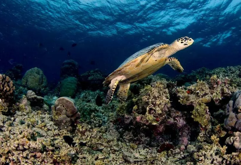 پانسیون Ras Village