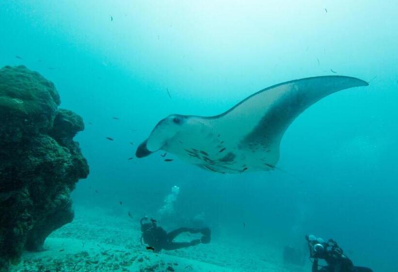 پانسیون Scuba Inn