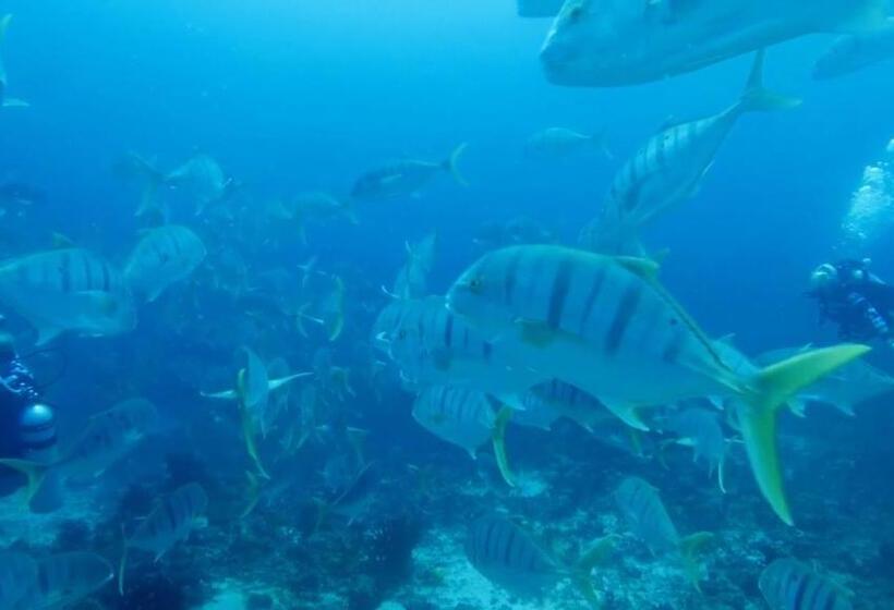 پانسیون Scuba Inn