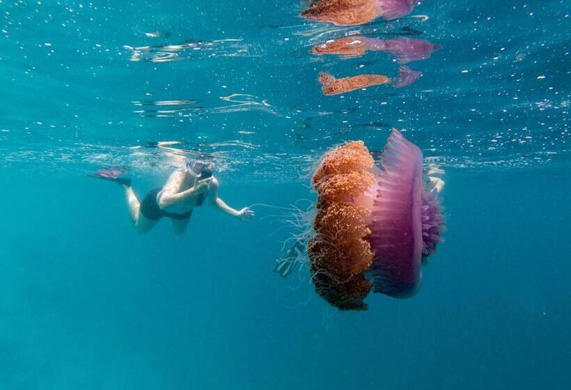 Ukulhas Villa Oceanview Hotel & Spa