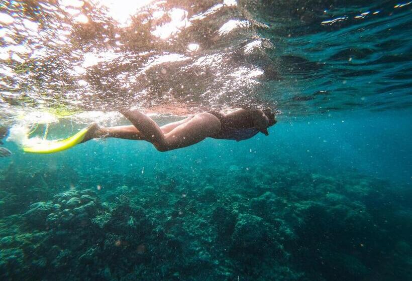 Ukulhas Villa Oceanview Hotel & Spa